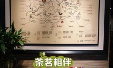 南宁品茶指南：朋友小陈如何走出茶荒，找到心仪茶馆的历程