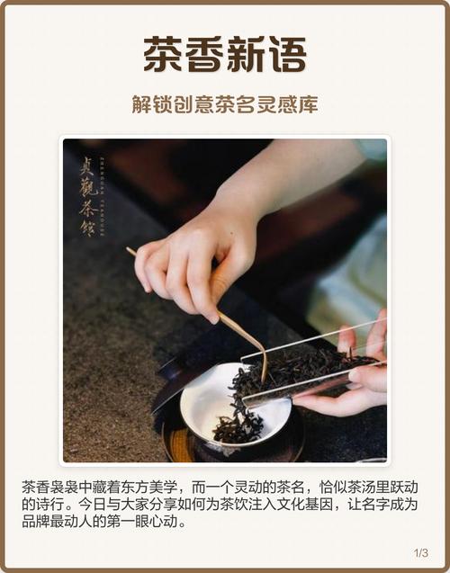 从品茶小白到资深茶客：南宁品茶心路历程全揭秘，为你推荐靠谱去处